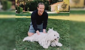 Meta CEO Mark Zuckerberg houses: Photos, locations, features