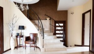 Meaning, Types, Ownership, Pros & Cons