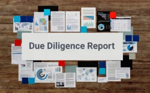 What is a Due Diligence Report in India?