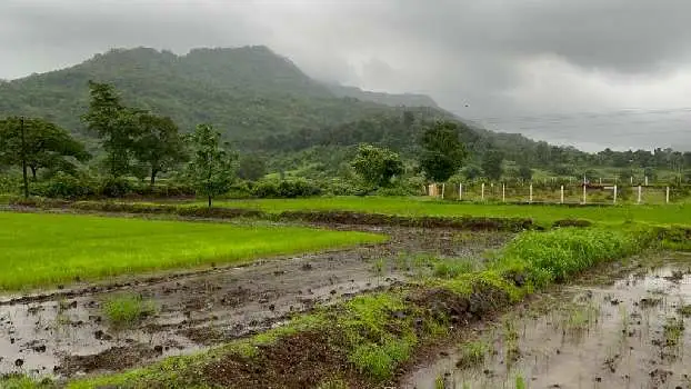 Home 32 Current Rates Per Sq. Ft. in 2026