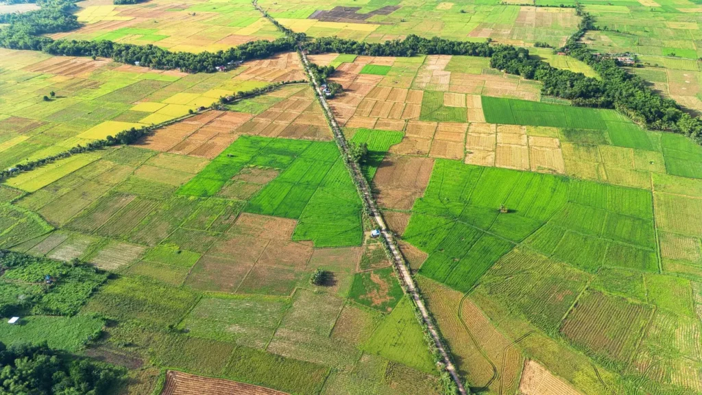 Land Types and Market Trend 2026