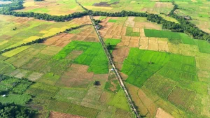 Land Types and Market Trend 2026