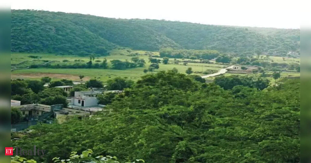 Home 33 joint panel set up in haryana to probe illegal tree felling construction in raisina aravalis